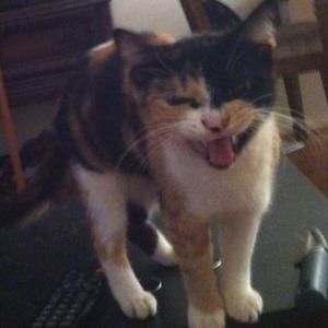 Meet your Posher, Judy